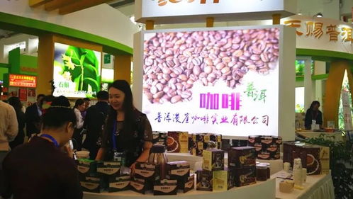 普洱市組團(tuán)參加第五屆中國—南亞博覽會暨第二十五屆中國昆明進(jìn)出口商品交易會，會議及展覽服務(wù)全面升級